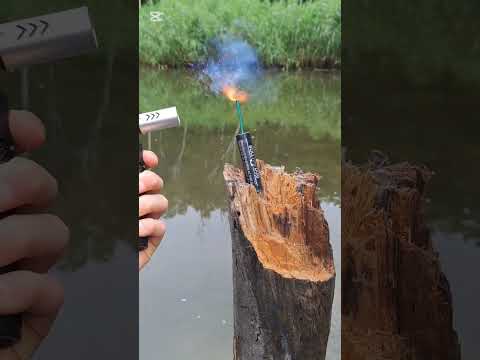 TXP858 POWERFULL BULLDOG